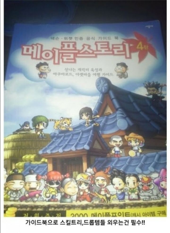 모두가 그리워하는 추억의 그 시절 옛날 메이플스토리 | 인스티즈