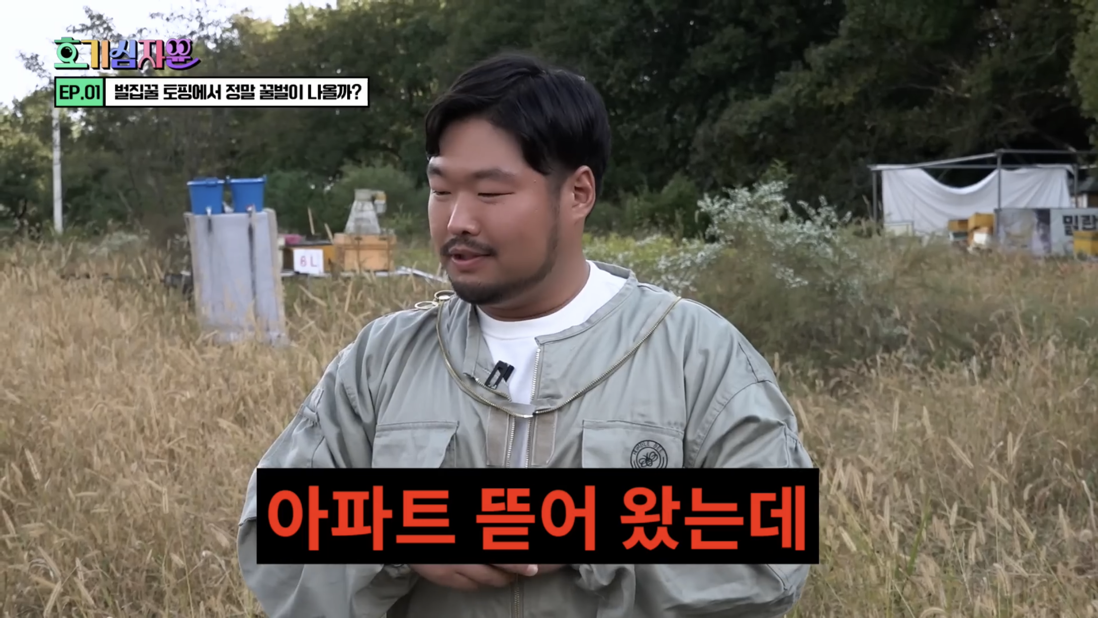 요거트 아이스크림 벌집꿀에서 나오는 벌의 정체............jpg | 인스티즈