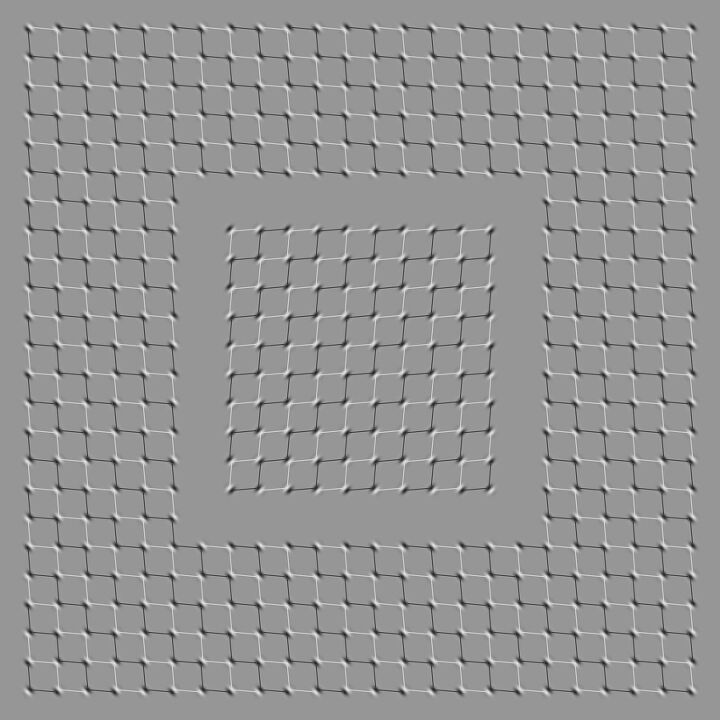 gif 아니고 jpg 이미지임.jpg | 인스티즈
