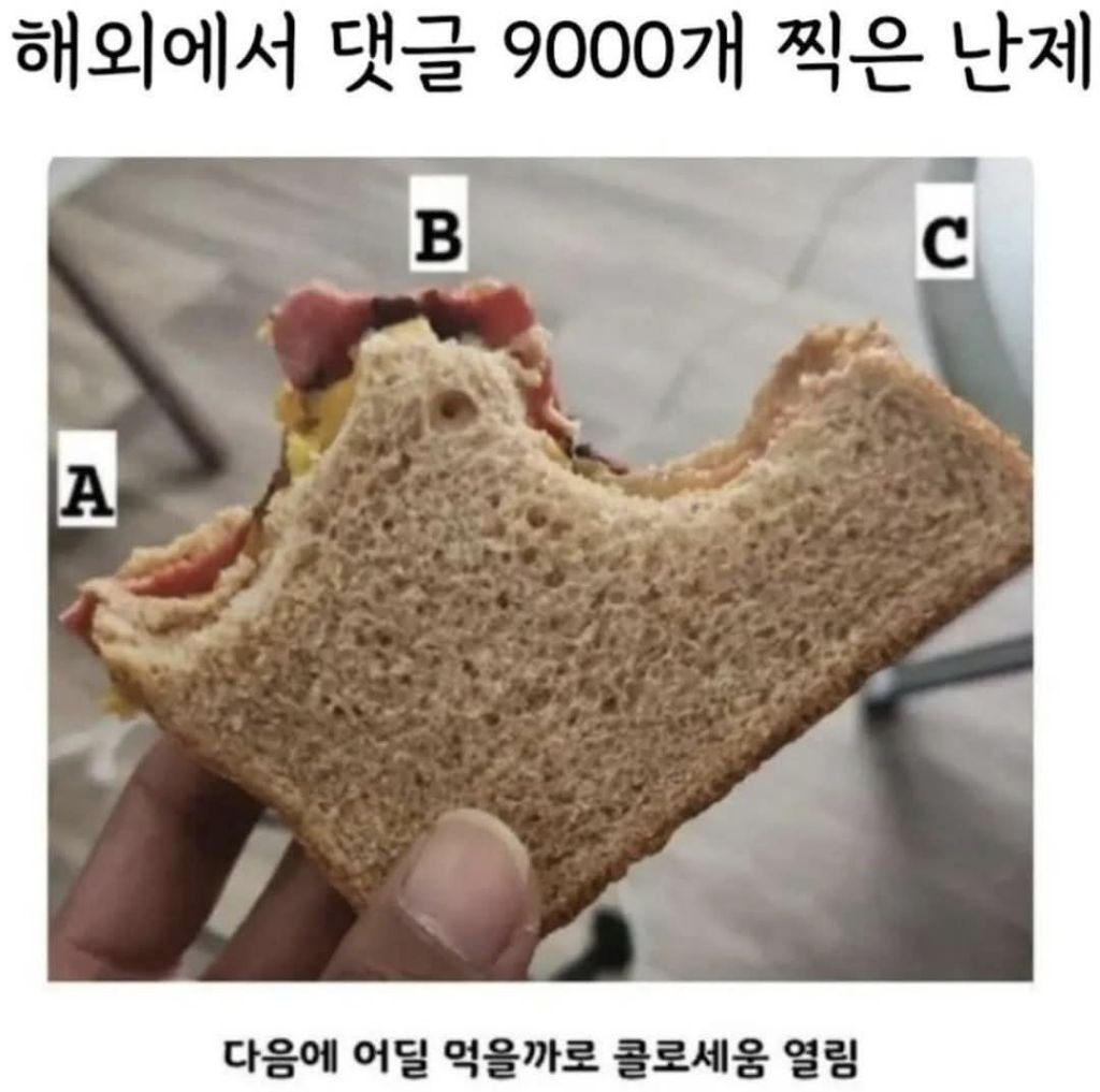 해외에서 댓글 9000개 찍은 난제 | 인스티즈