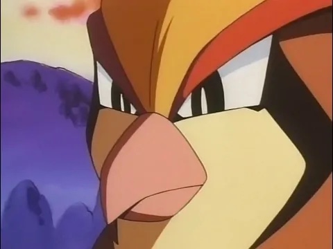 드디어 피존투가 나왔다는 글에 난리난 원피스갤 | 인스티즈