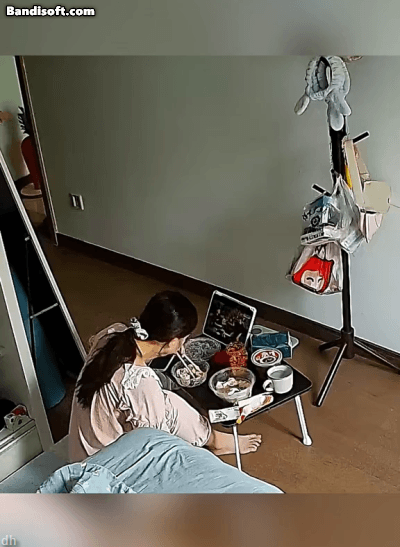 고양이 키우고 싶을 때 보는 짤 | 인스티즈