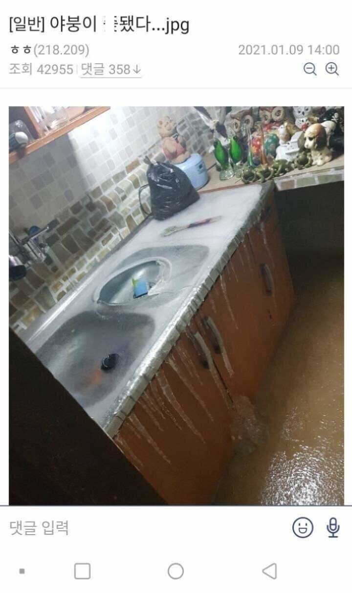 야붕이 실시간 x된 모음집 | 인스티즈