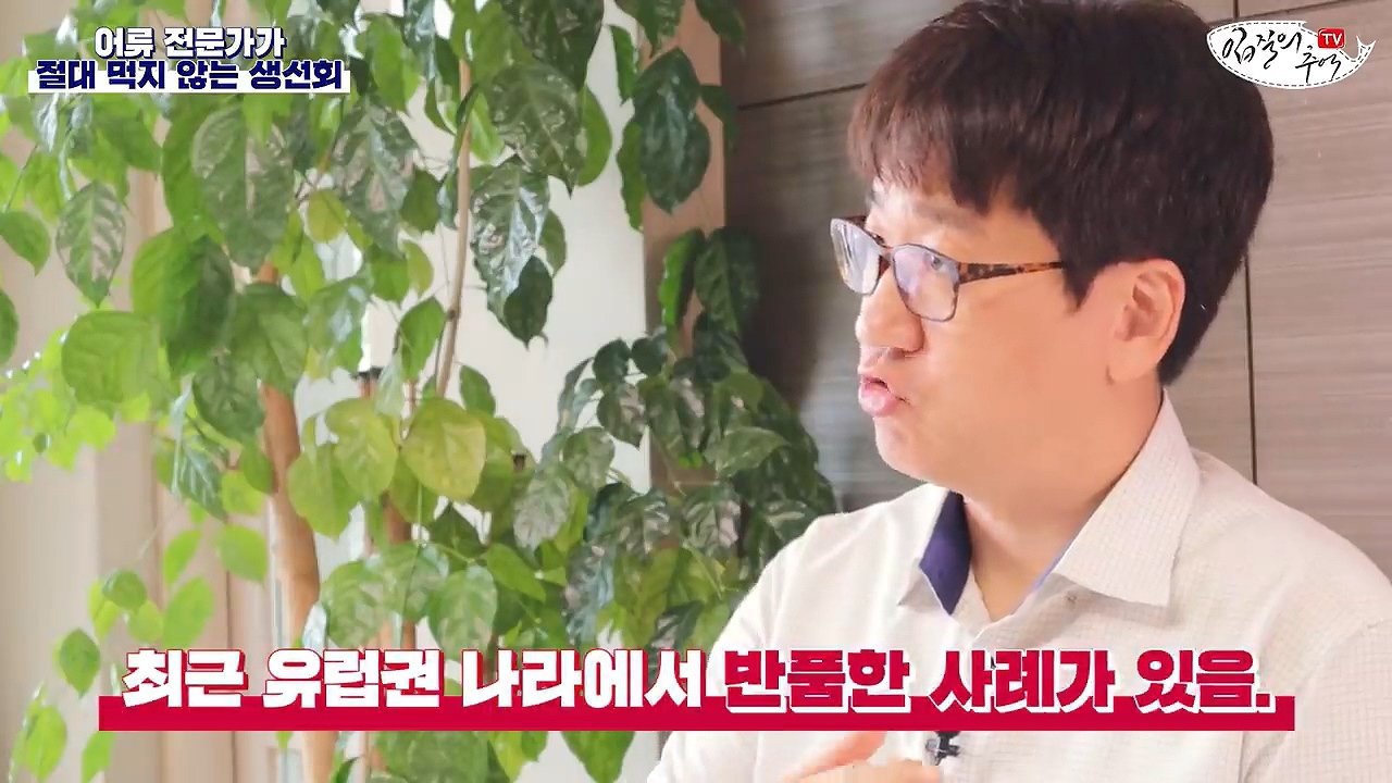 어류 전문가가 꼽은 절대 먹지 않는 생선회 7개 | 인스티즈