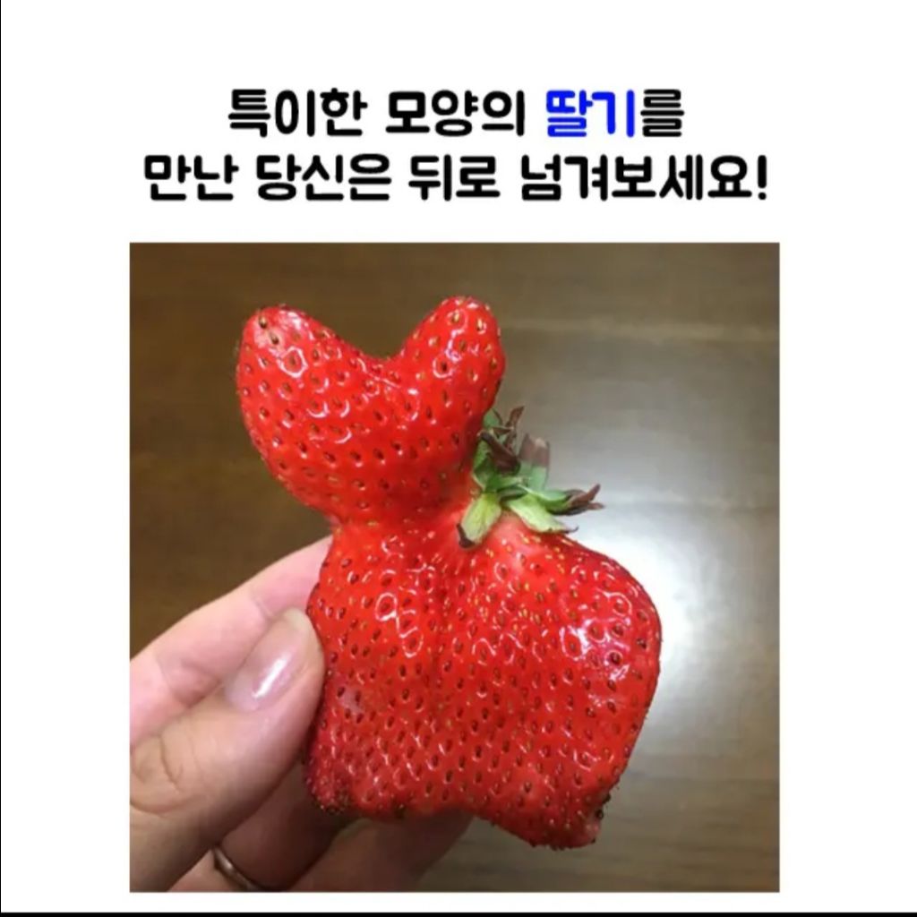 특이한 모양의 딸기.jpg | 인스티즈