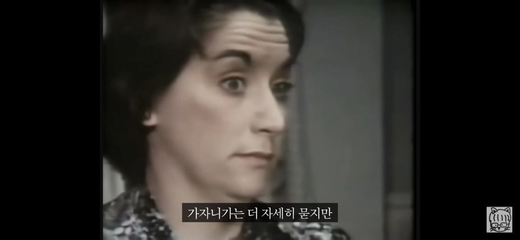 (스압)분리 뇌 실험 | 인스티즈