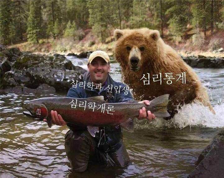 공대 신입생 공감 | 인스티즈