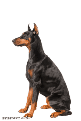 포토샵 잘하는 형아 누나 있어...? | 인스티즈