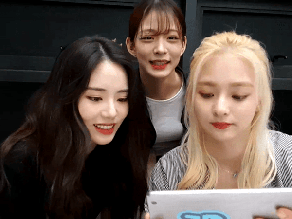 프로미스나인의 지원이와 나경이! (feat. 채영) | 인스티즈