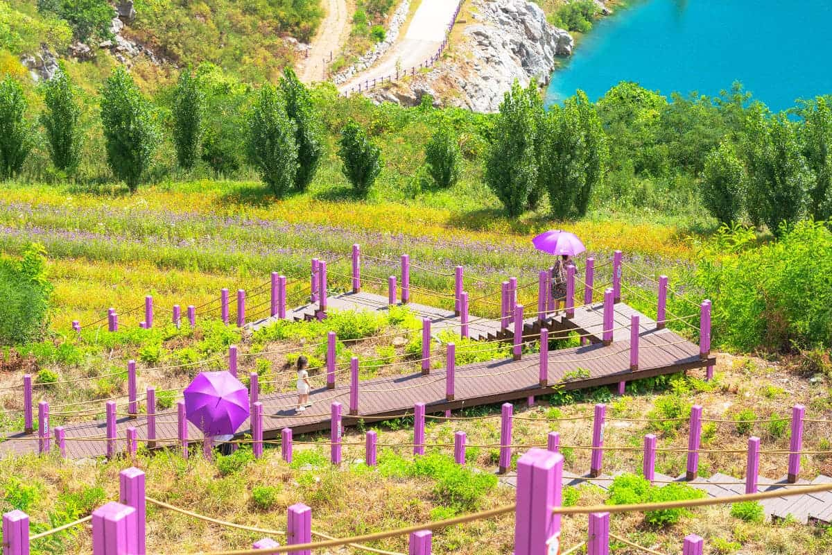 인생샷 찍기 좋다는 국내 배경이 예쁜 여행지들.JPG | 인스티즈