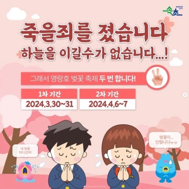 기후 이슈로 두번째 도전했던 속초 벚꽃축제 근황 | 인스티즈