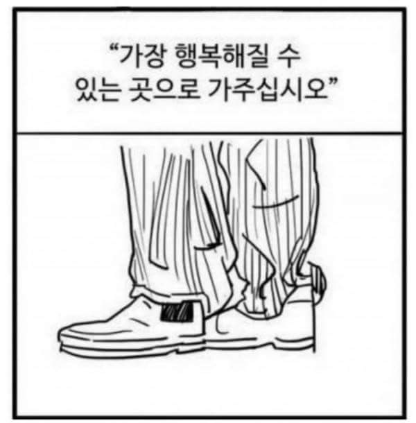 어디로든 갈 수 있는 신발 | 인스티즈