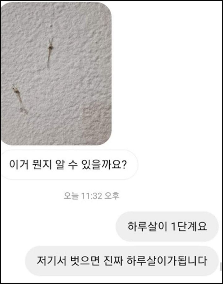 모르는게 없는 유튜버ㅋㅋㅋㅋㅋㅋ.jpg | 인스티즈