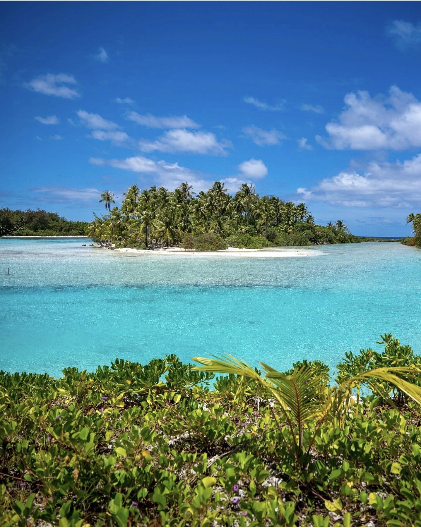 프랑스령 타히티 보라보라섬.jpg | 인스티즈