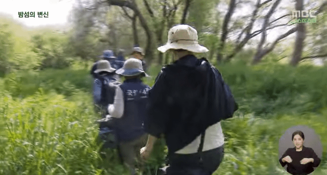 사람 발길이 끊긴 한강 밤섬 6.4배나 더 커졌다 | 인스티즈