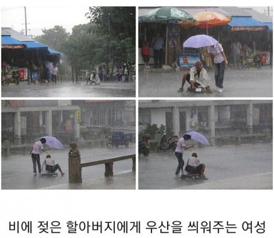 인류애 가득 채워주는 사진들.jpg | 인스티즈