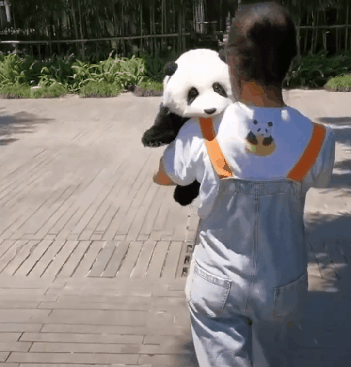 사육사에게 안겨 있는 아기 팬더에게 인사를 하면?.gif | 인스티즈