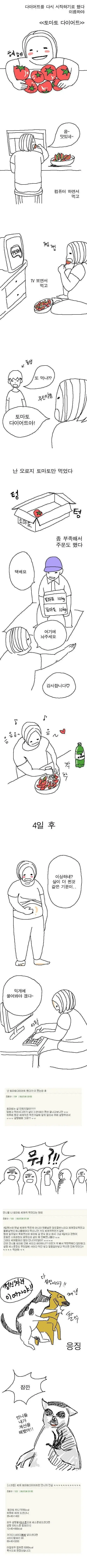 토마토 다이어트 했는데 살이 더 찜 | 인스티즈