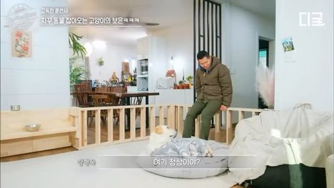 개랑 고양이 같이 키우는 집에서 방송하다 사고나서 깜짝 놀란 강형욱 | 인스티즈