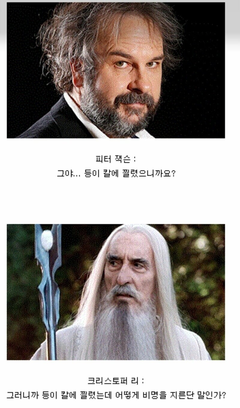 칼에 찔려도 비명을 못지르는 이유.jpg | 인스티즈