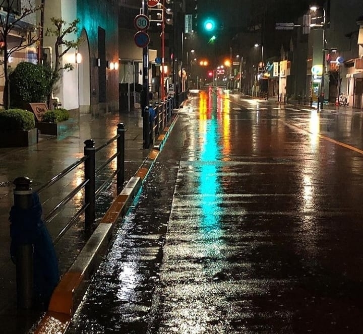 비오는 날 사람마다 갈린다는 거.......jpg | 인스티즈