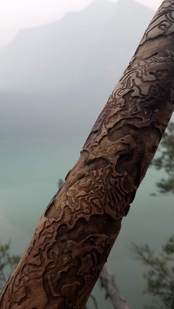 레딧의 질문 답변 페이지 2탄 | 인스티즈