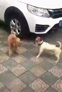 싸우다가 눈맞음.gif | 인스티즈