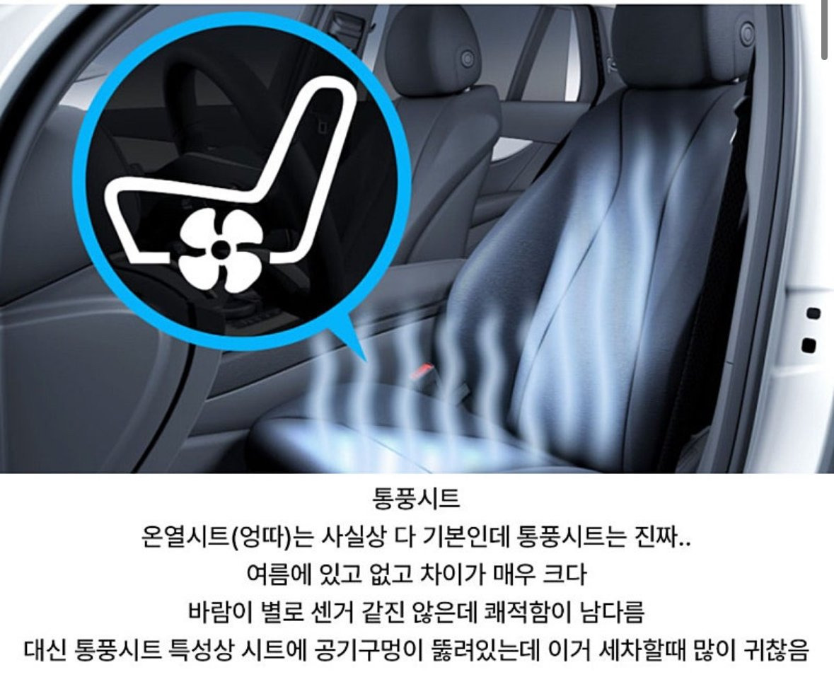 역체감 심한 자동차 옵션 4가지 | 인스티즈