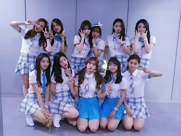 본인이 아이오아이에서 제일 좋아한 최애 멤버는? | 인스티즈