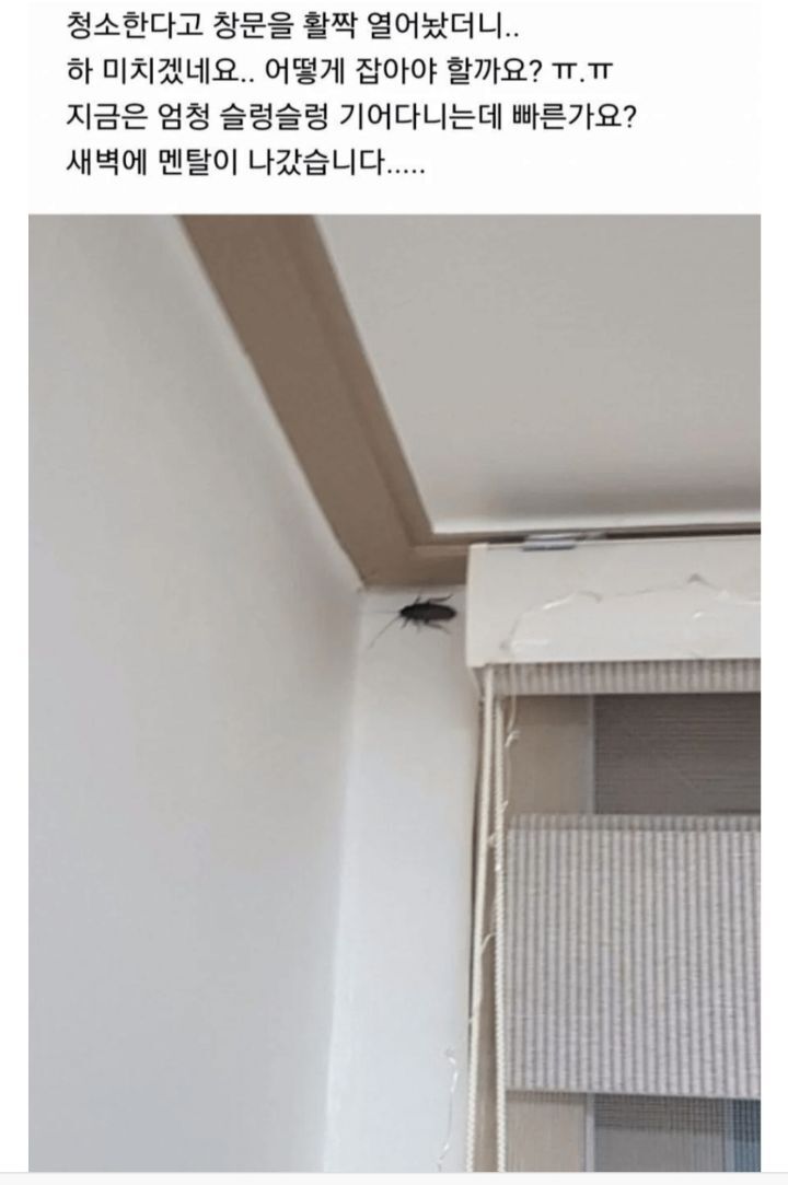 bbb1b1c0e25db7d93aa509bea156c7f3fd98dd59