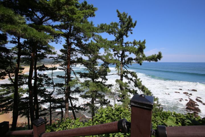 의외로 우리나라에 있는 것.jpg | 인스티즈