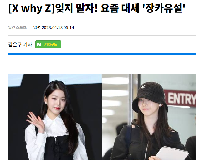 요즘 틱톡, 쇼츠에서 잼민이들이 많이 쓰는 '장카설' 단어의 정체.JPG | 인스티즈