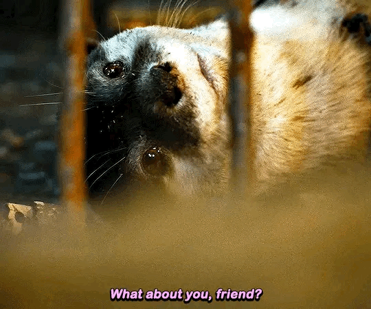 (ㅅㅍ) 가오갤3 눈물버튼의 시작.gif | 인스티즈