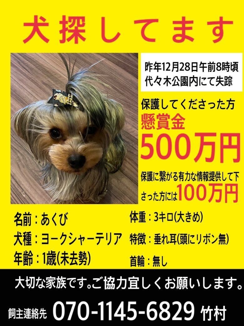 현재 도쿄도에서 많은 사람들이 눈에 불을 켜고 찾고 있는 댕댕이 | 인스티즈