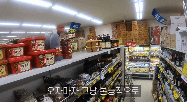 키 221cm 하승진이 바라보는 세상.gif | 인스티즈