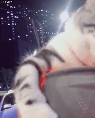 니 남친은 내가 더 좋다는데? | 인스티즈