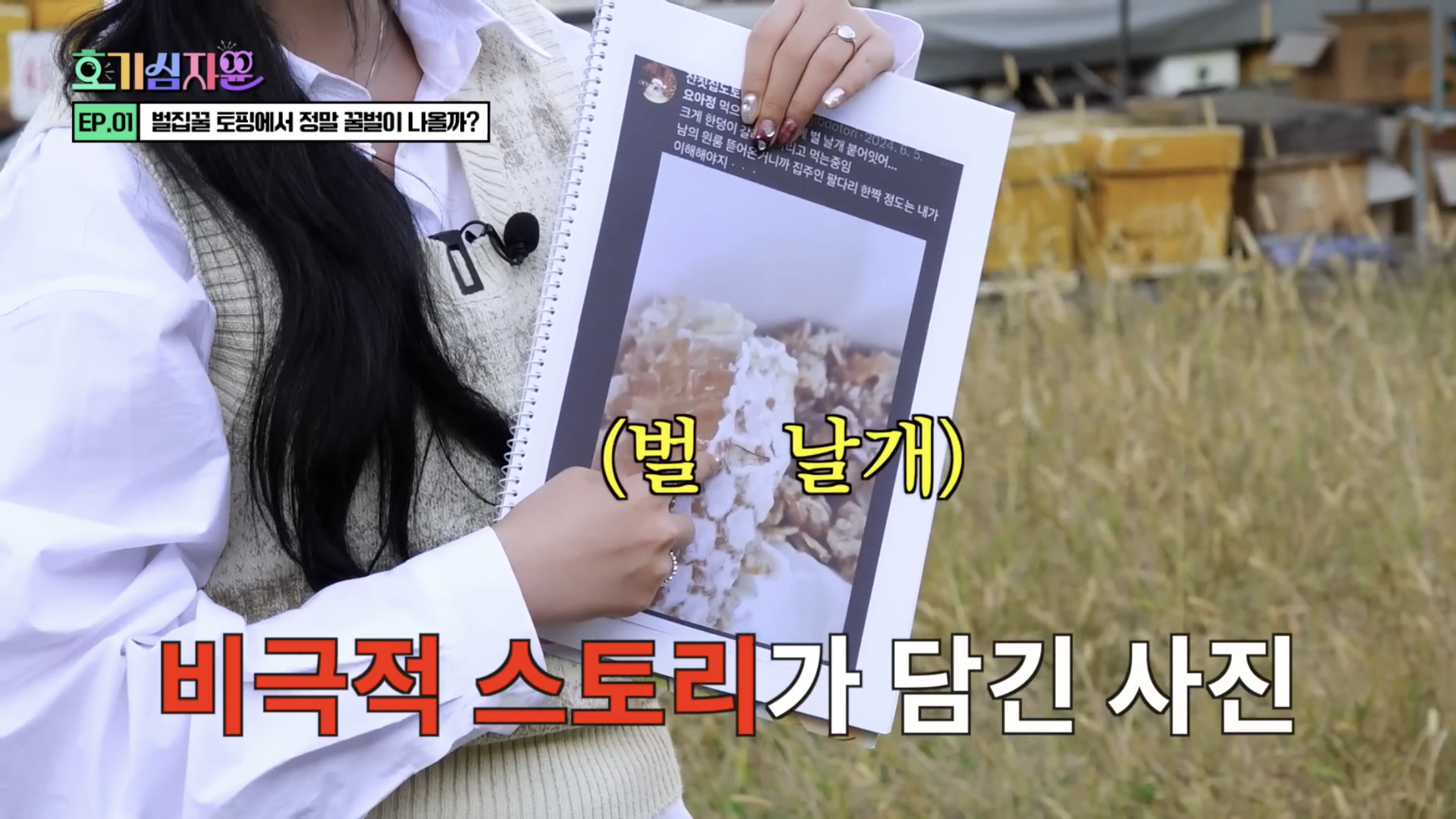 요거트 아이스크림 벌집꿀에서 나오는 벌의 정체............jpg | 인스티즈