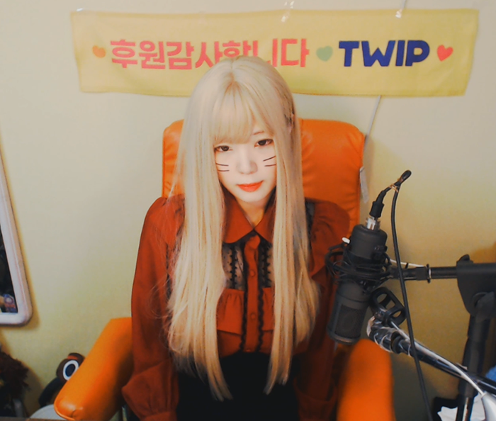 야겜하다 3일 정지먹은 트위치 여자 대기업 | 인스티즈