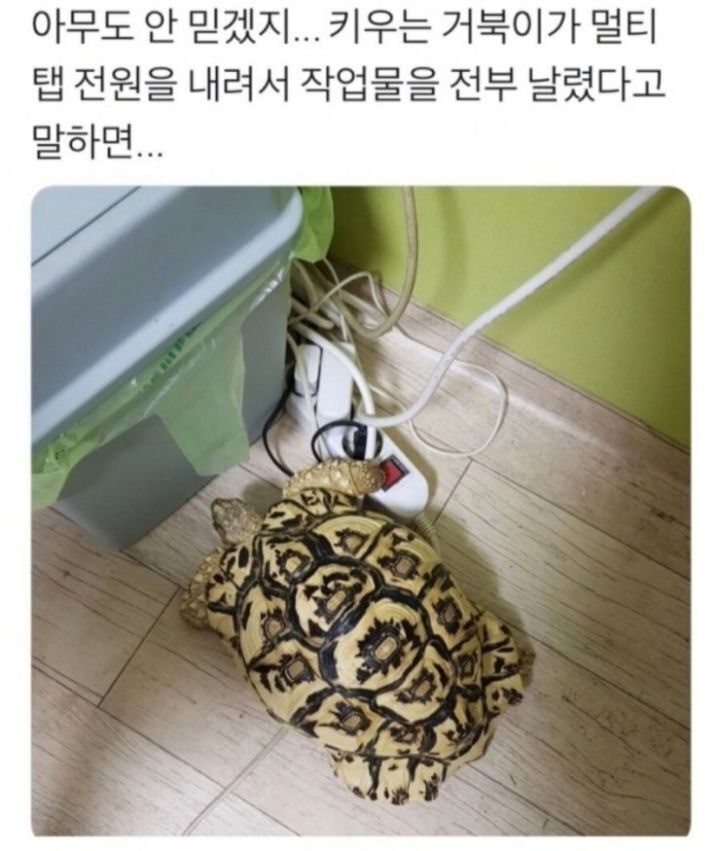 작업물이 날라간 이유 | 인스티즈