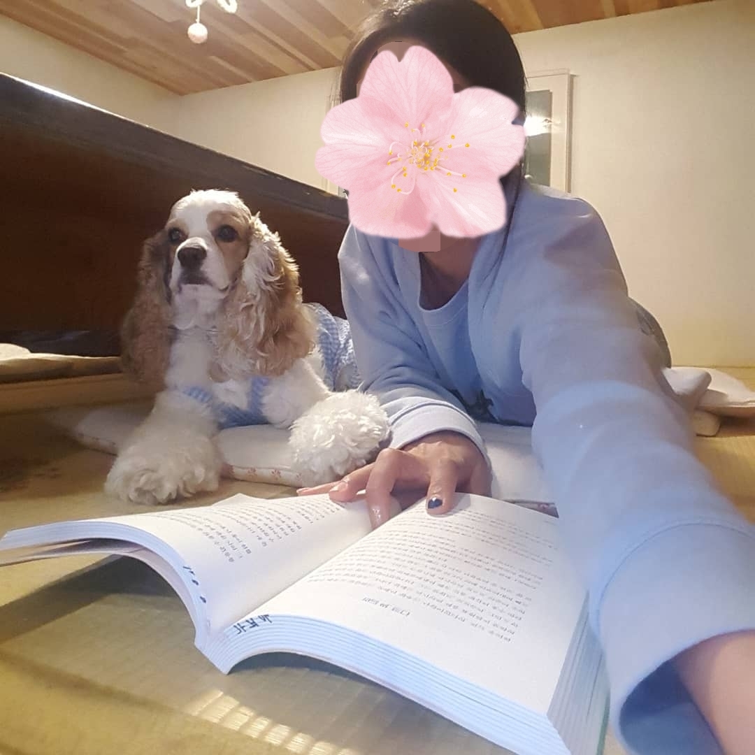 제주도 수제 타르트파이 카페.......jpg | 인스티즈