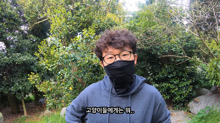 [사진100장스압] 고양이가 자연생태계에 끼치는 심각한 영향 | 인스티즈