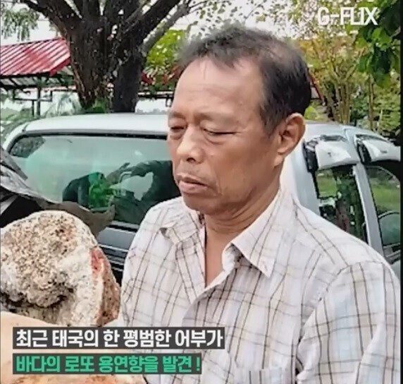 해안가 갔을때 유심히 잘 살펴봐야하는 이유 | 인스티즈