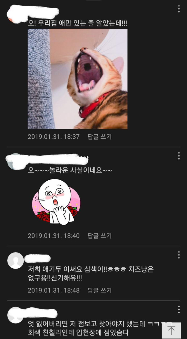 고양이는 입 안에도 얼룩무늬 있음.jpg | 인스티즈