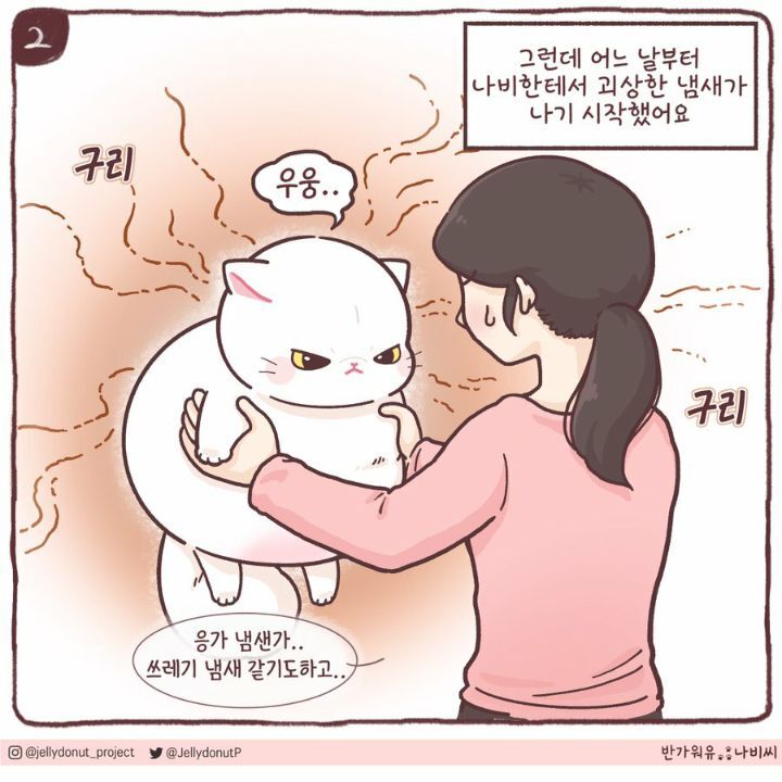 고양이에게서 지독한 냄새가 난 이유 | 인스티즈