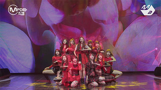 다인원 보는 맛이 있었던 아이즈원 군무들.gif | 인스티즈