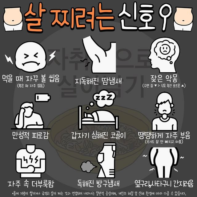 믿거나 말거나 살찌려는 신호 | 인스티즈