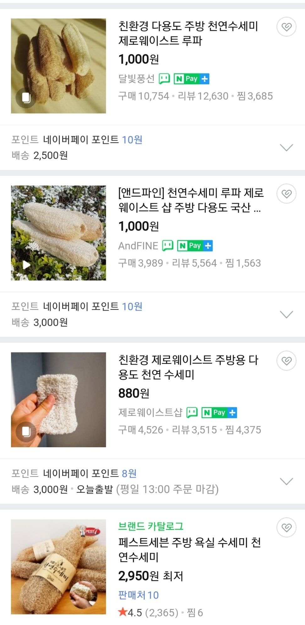 어느 유튜버가 천연 수세미를 사용하는 이유.jpg | 인스티즈