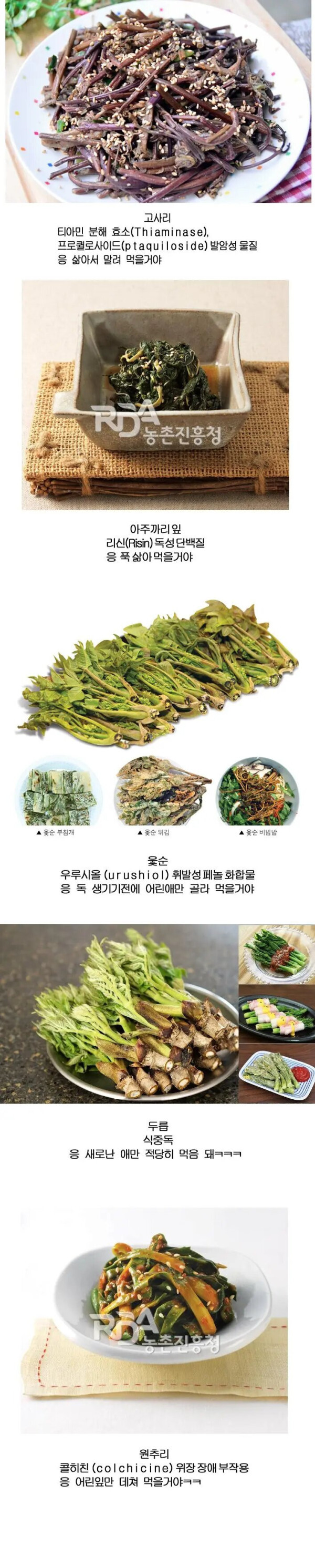 한국인이 이 악물고 먹는 독성식물들 | 인스티즈