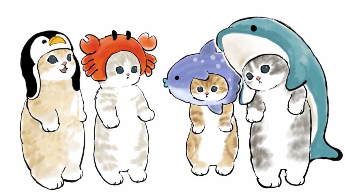 세상에서 고양이 제일 귀엽게 그리는 일러스트레이터 | 인스티즈