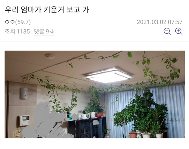 bec18816ba9c19bff72bcadc838751eca89a2e0a